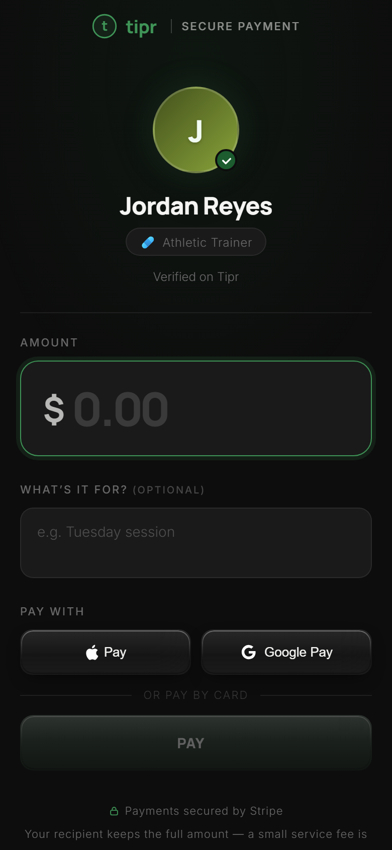 Jordan Reyes's pay page, opening on an empty amount field